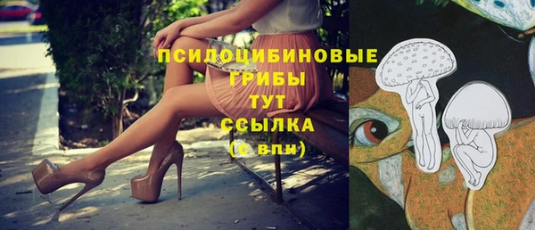 мяу мяу кристалл Алексин