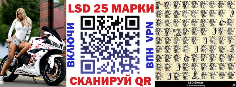 купить наркоту  Нефтекумск  кракен рабочий сайт  Наркотические марки 1,8мг 