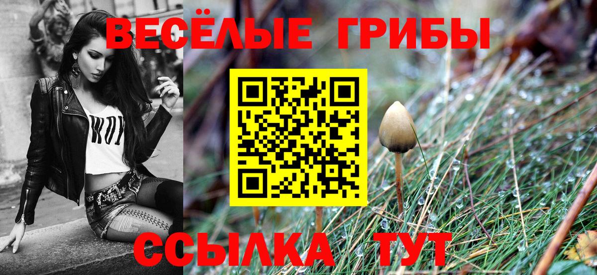 Псилоцибиновые грибы Cubensis  Вход с VPN  Нефтекумск 