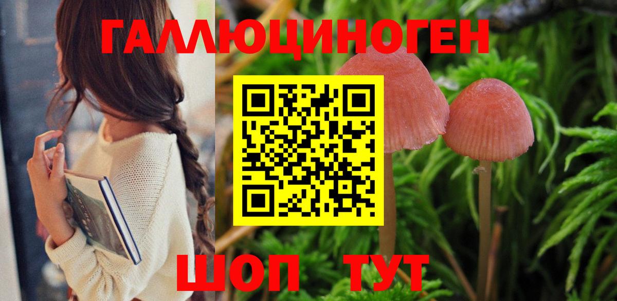 Псилоцибиновые грибы GOLDEN TEACHER Нефтекумск